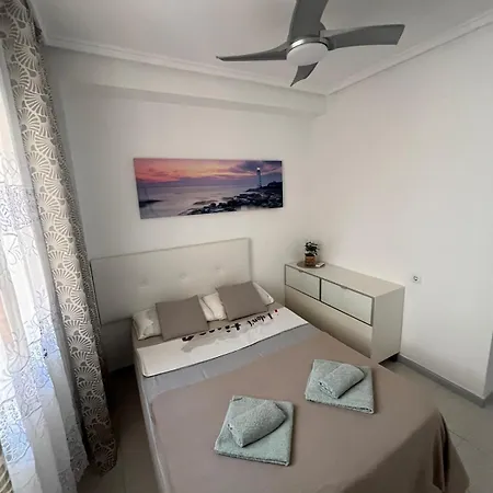 公寓 Dudi 托雷维耶哈