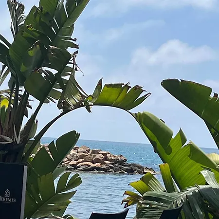 Dudi * 托雷维耶哈