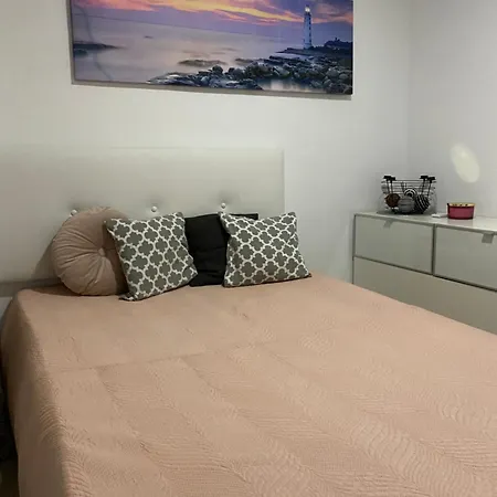 Dudi 托雷维耶哈